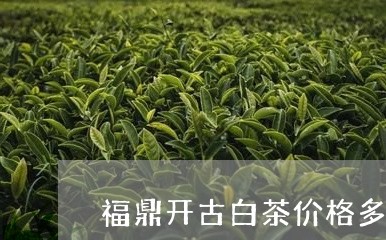 福鼎开古白茶价格多少/2023111694749