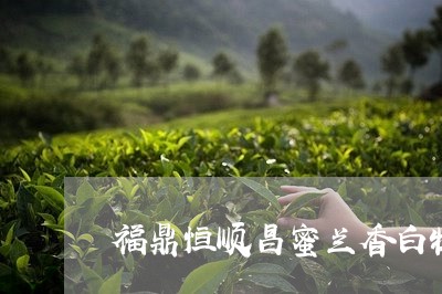 福鼎恒顺昌蜜兰香白牡丹茶/2023041726939