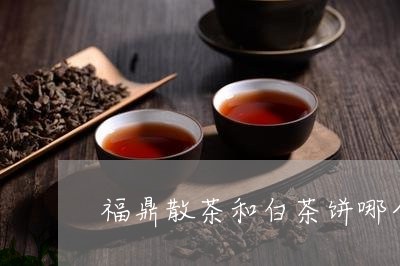 福鼎散茶和白茶饼哪个好/2023092162937