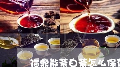 福鼎散茶白茶怎么保存/2023120736058