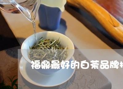 福鼎最好的白茶品牌排行榜/2023042644148