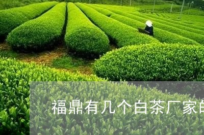 福鼎有几个白茶厂家的名字/2023042681505