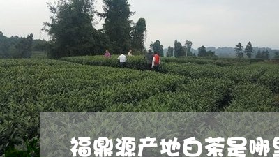 福鼎源产地白茶是哪里/2023120806028