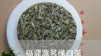 福鼎源茗缘白茶/2023112586158