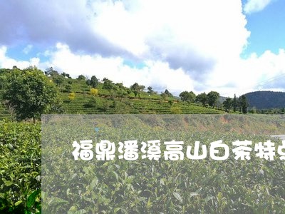 福鼎潘溪高山白茶特点/2023120826049