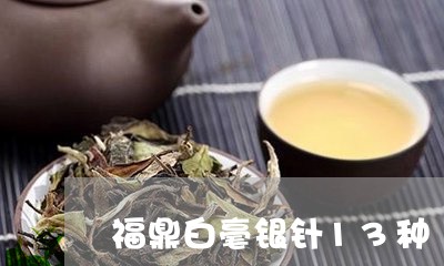 福鼎白毫银针13种/2023120409491