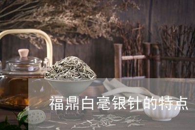 福鼎白毫银针的特点/2023120421482