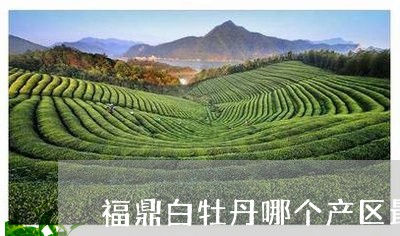 福鼎白牡丹哪个产区最好/2023092376140