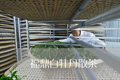 福鼎白牡丹散茶/2023112388370