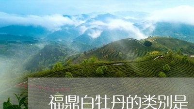 福鼎白牡丹的类别是/2023091480616