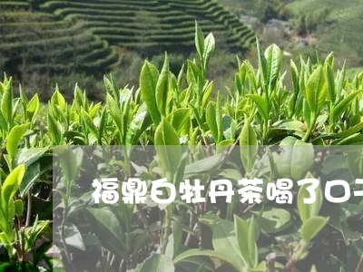 福鼎白牡丹茶喝了口干/2023120976038