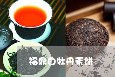 福鼎白牡丹茶饼/2023112356930