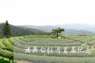 福鼎白牡丹首届纪念/2023120525260