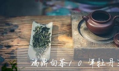 福鼎白茶10年牡丹王/2023091579515