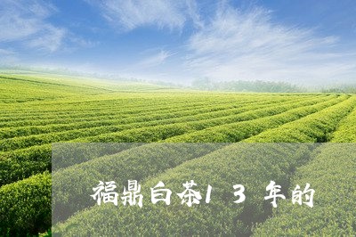 福鼎白茶13年的/2023112661594