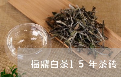 福鼎白茶15年茶砖/2023062891825