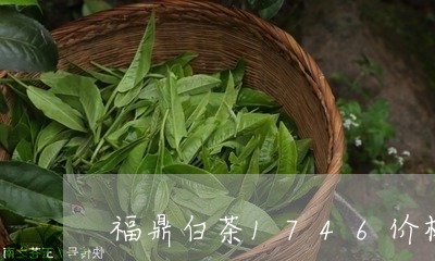 福鼎白茶1746价格/2023062869412