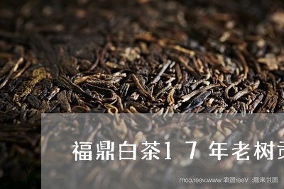 福鼎白茶17年老树贡眉300g/2023062882805