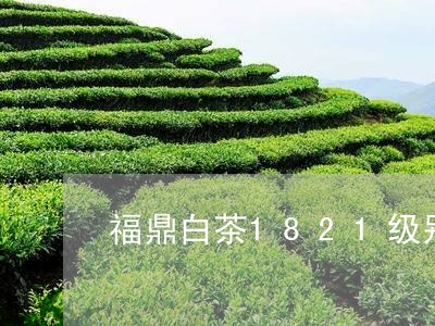 福鼎白茶1821级别/2023120799703