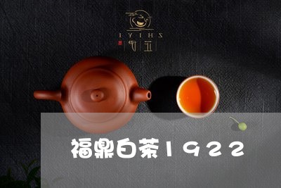 福鼎白茶1922/2023112649460