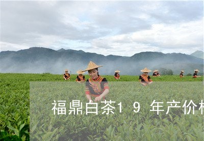 福鼎白茶19年产价格/2023091579269