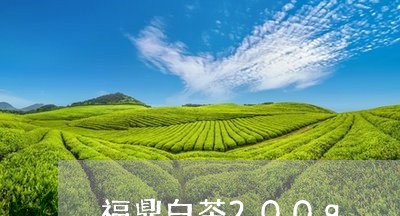 福鼎白茶200g/2023112654747