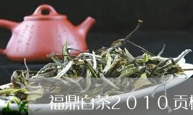 福鼎白茶2010贡梅/2023092027250