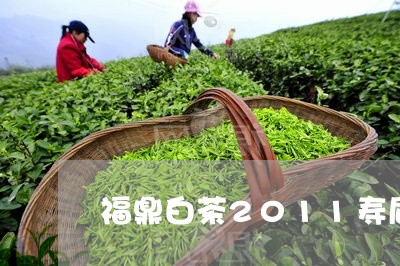 福鼎白茶2011寿眉/2023120740793