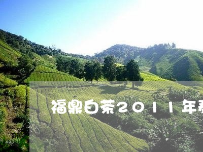 福鼎白茶2011年寿眉/2023092171503