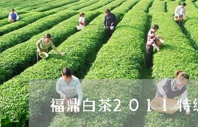 福鼎白茶2011特级/2023092005351