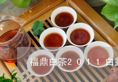 福鼎白茶2011白露茶/2023092191515