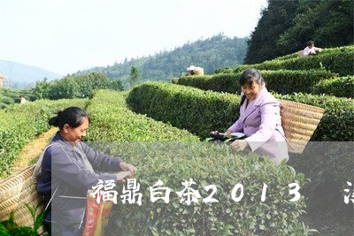 福鼎白茶2013磻溪/2023120847350