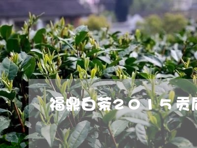 福鼎白茶2015贡眉/2023092055836