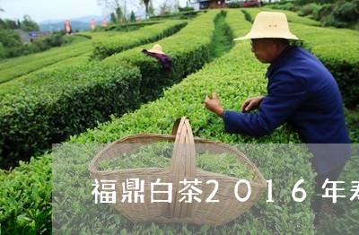 福鼎白茶2016年寿眉价格多少/2023111537349