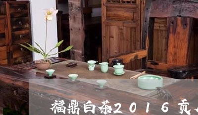 福鼎白茶2016贡眉品鉴/2023062715178