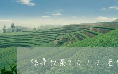 福鼎白茶2017老白茶/2023062983725