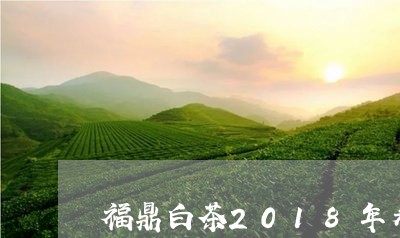 福鼎白茶2018年寿眉多少钱/2023111521825