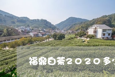 福鼎白茶2020多少钱/2023092295049