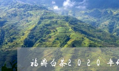 福鼎白茶2020年价格表/2023062788361