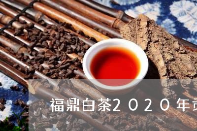 福鼎白茶2020年贡眉/2023092599606