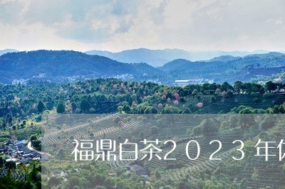 福鼎白茶2023年休茶季/2023062765161