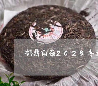 福鼎白茶2023年春茶/2023062934634