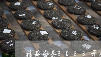 福鼎白茶2023开茶节时间/2023062928572