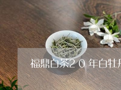 福鼎白茶20年白牡丹/2023120799371