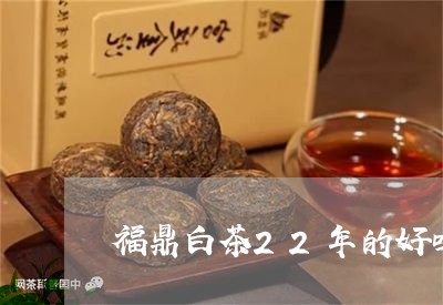 福鼎白茶22年的好吗/2023120864268