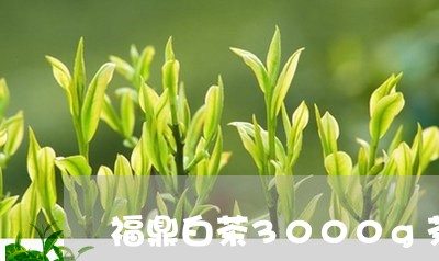 福鼎白茶3000g茶饼16年/2023062981402