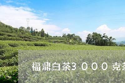 福鼎白茶3000克茶饼的价格表/2023062863956