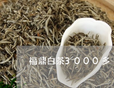 福鼎白茶3000多/2023062859369