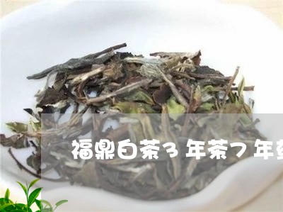 福鼎白茶3年茶7年药/2023091592825