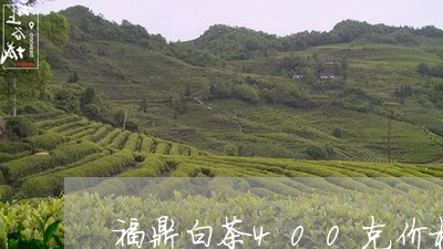 福鼎白茶400克价格/2023120762703